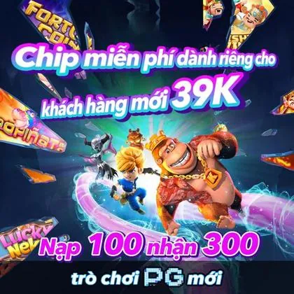 229 229