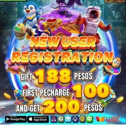 229 229