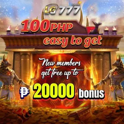 229 229